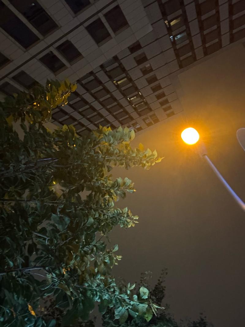 路灯下的小姑娘原唱 路灯下的小姑娘原唱